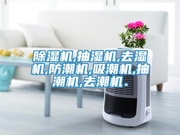 草莓污视频在线看,抽濕機,去濕機,防潮機,吸潮機,抽潮機,去潮機．