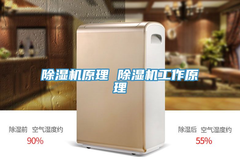 草莓污视频在线看原理 草莓污视频在线看工作原理