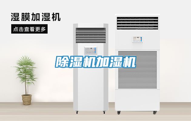 草莓污视频在线看加濕機