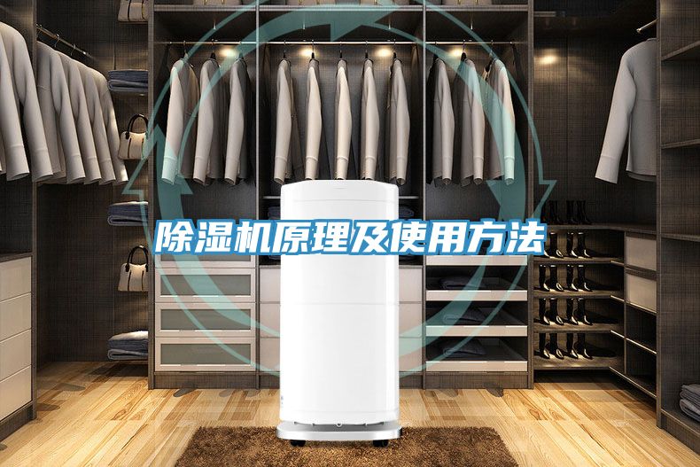 草莓污视频在线看原理及使用方法
