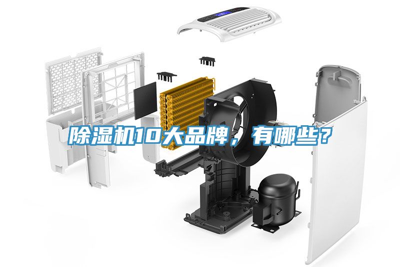 草莓污视频在线看10大品牌，有哪些？