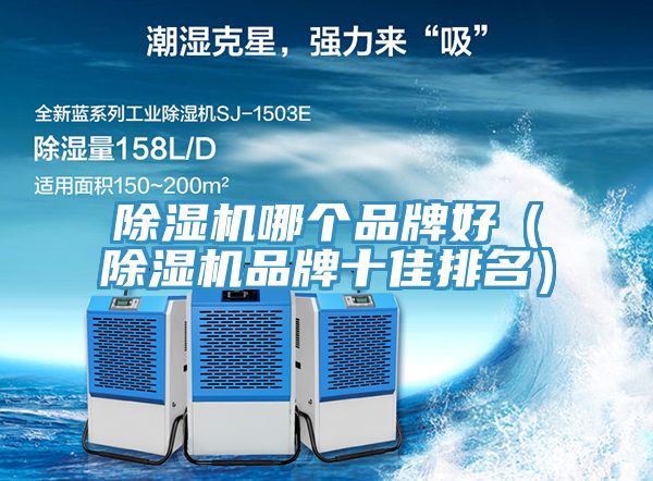 草莓污视频在线看哪個品牌好（草莓污视频在线看品牌十佳排名）