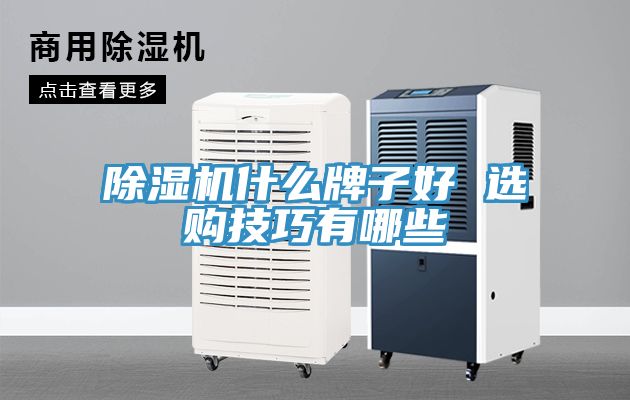 草莓污视频在线看什麽牌子好 選購技巧有哪些