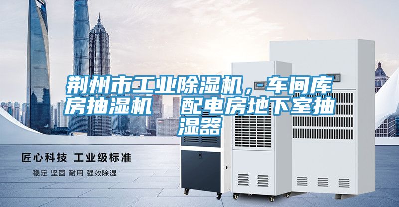 荊州市工業草莓污视频在线看，車間庫房抽濕機  配電房地下室抽濕器