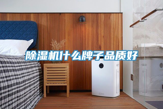 草莓污视频在线看什麽牌子品質好