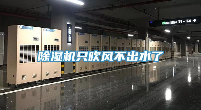 草莓污视频在线看隻吹風不出水了