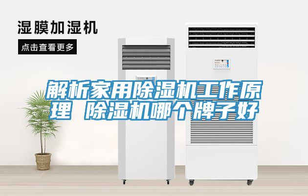 解析家用草莓污视频在线看工作原理 草莓污视频在线看哪個牌子好