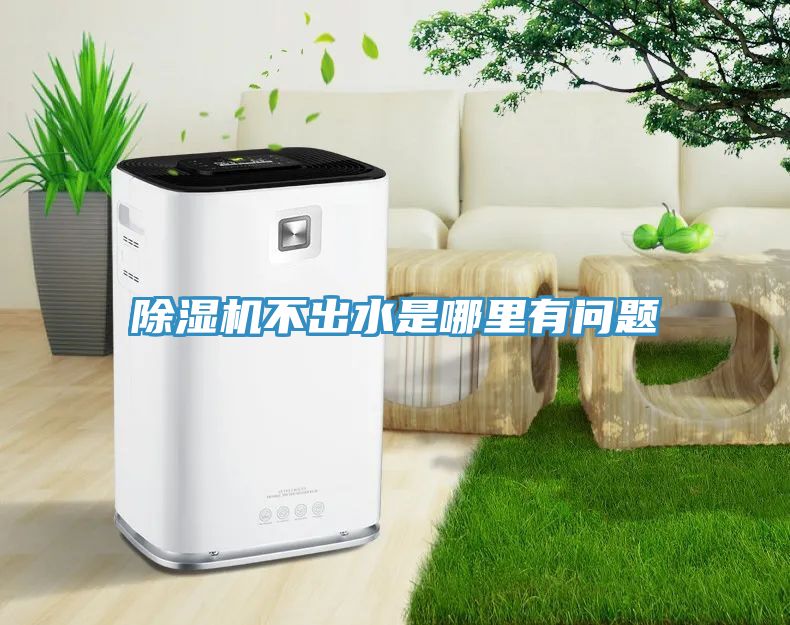 草莓污视频在线看不出水是哪裏有問題