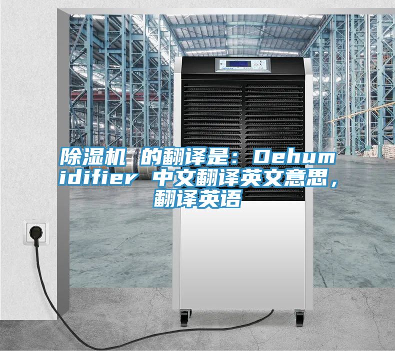 草莓污视频在线看 的翻譯是：Dehumidifier 中文翻譯英文意思，翻譯英語