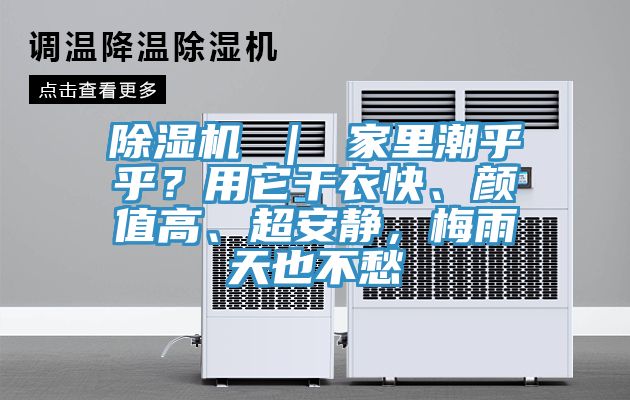 草莓污视频在线看 ｜ 家裏潮乎乎？用它幹衣快、顏值高、超安靜，梅雨天也不愁