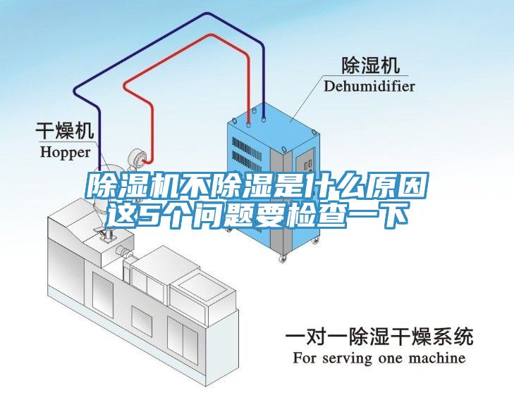 草莓污视频在线看不除濕是什麽原因這5個問題要檢查一下