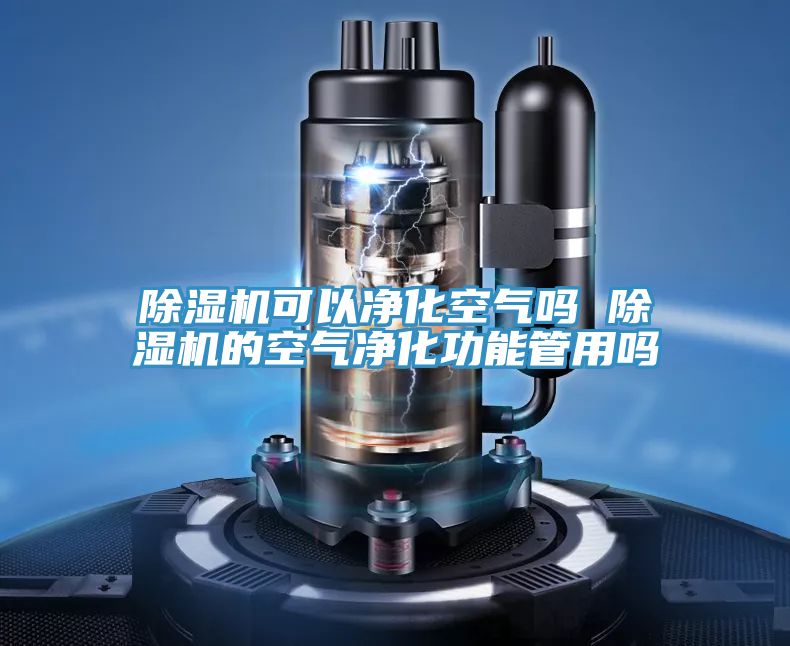 草莓污视频在线看可以淨化空氣嗎 草莓污视频在线看的空氣淨化功能管用嗎