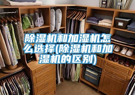 草莓污视频在线看和加濕機怎麽選擇(草莓污视频在线看和加濕機的區別)
