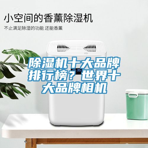 草莓污视频在线看十大品牌排行榜？世界十大品牌相機