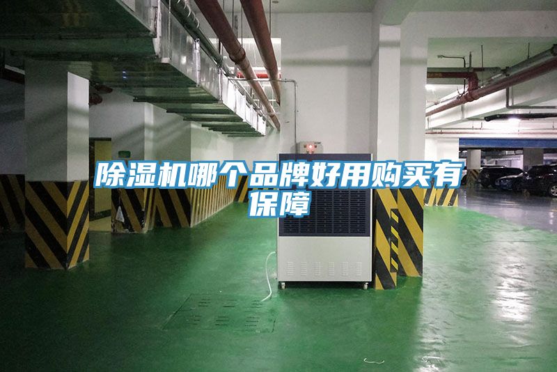 草莓污视频在线看哪個品牌好用購買有保障