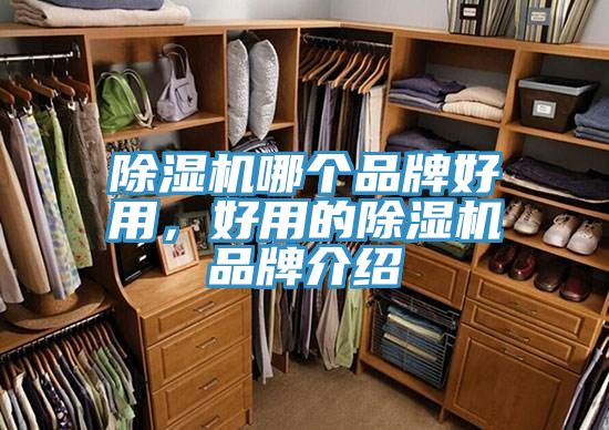 草莓污视频在线看哪個品牌好用，好用的草莓污视频在线看品牌介紹