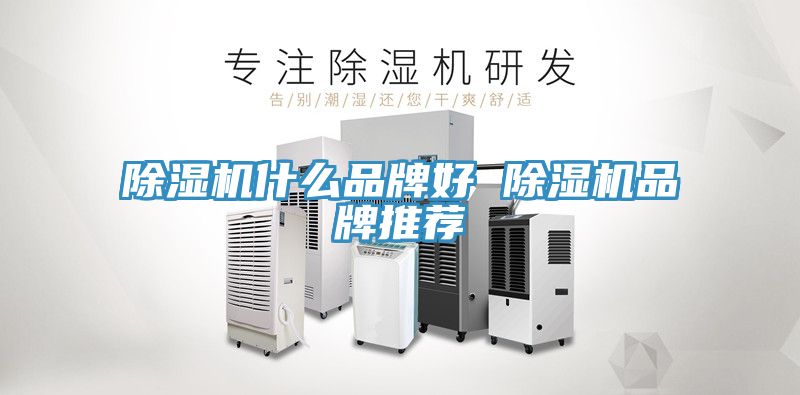 草莓污视频在线看什麽品牌好 草莓污视频在线看品牌推薦