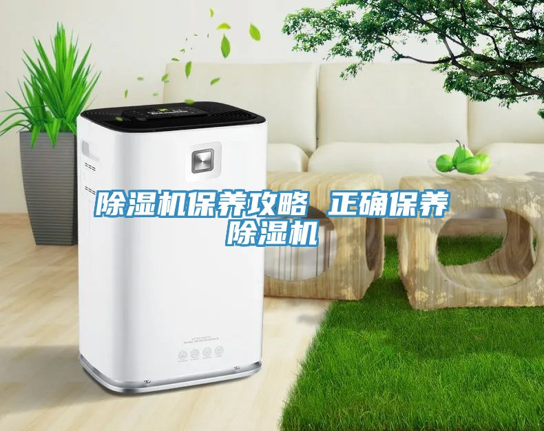 草莓污视频在线看保養攻略 正確保養草莓污视频在线看