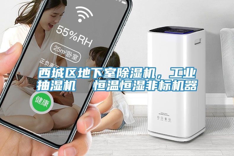 西城區地下室草莓污视频在线看，工業抽濕機  恒溫恒濕非標機器