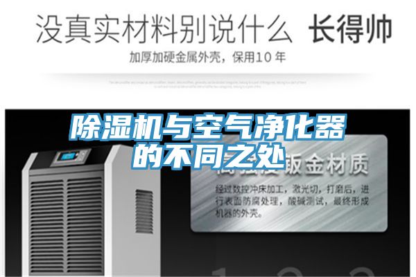 草莓污视频在线看與空氣淨化器的不同之處