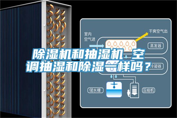 草莓污视频在线看和抽濕機 空調抽濕和除濕一樣嗎？