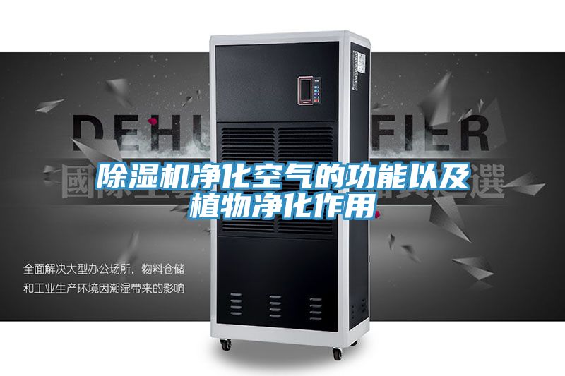 草莓污视频在线看淨化空氣的功能以及植物淨化作用