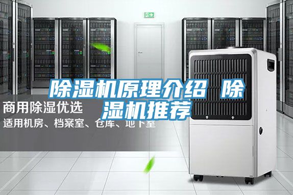 草莓污视频在线看原理介紹 草莓污视频在线看推薦