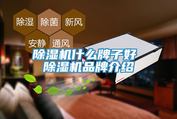草莓污视频在线看什麽牌子好 草莓污视频在线看品牌介紹