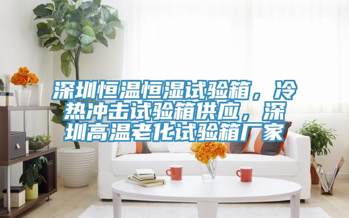 深圳恒溫恒濕試驗箱，冷熱衝擊試驗箱供應，深圳高溫老化試驗箱廠家