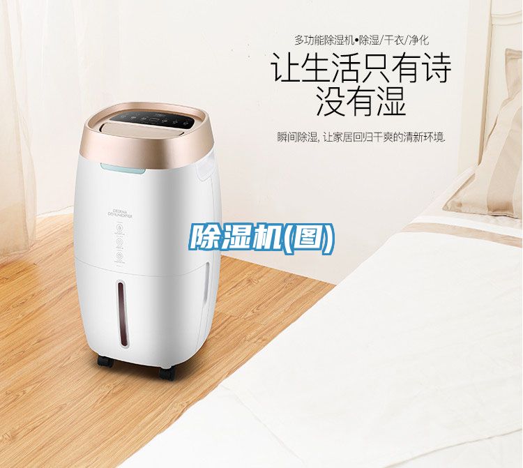 草莓污视频在线看(圖)