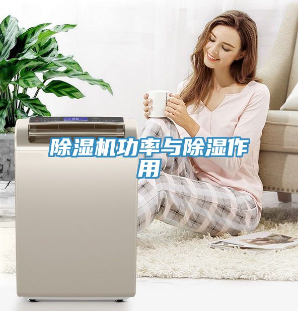 草莓污视频在线看功率與除濕作用