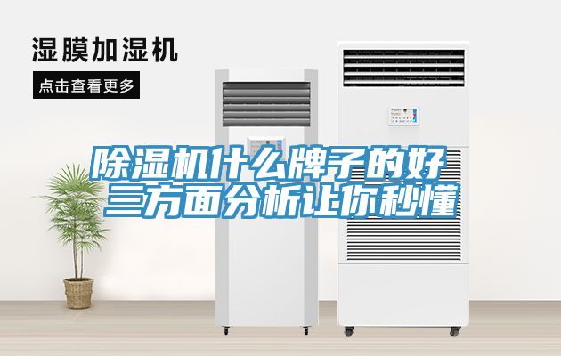 草莓污视频在线看什麽牌子的好 三方麵分析讓你秒懂