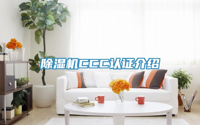 草莓污视频在线看CCC認證介紹