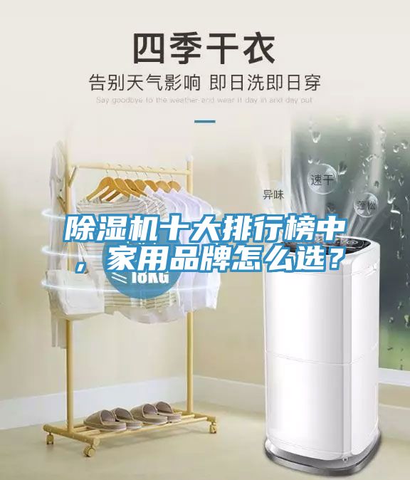 草莓污视频在线看十大排行榜中，家用品牌怎麽選？