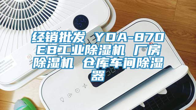經銷批發 YDA-870EB工業草莓污视频在线看 廠房草莓污视频在线看 倉庫車間除濕器