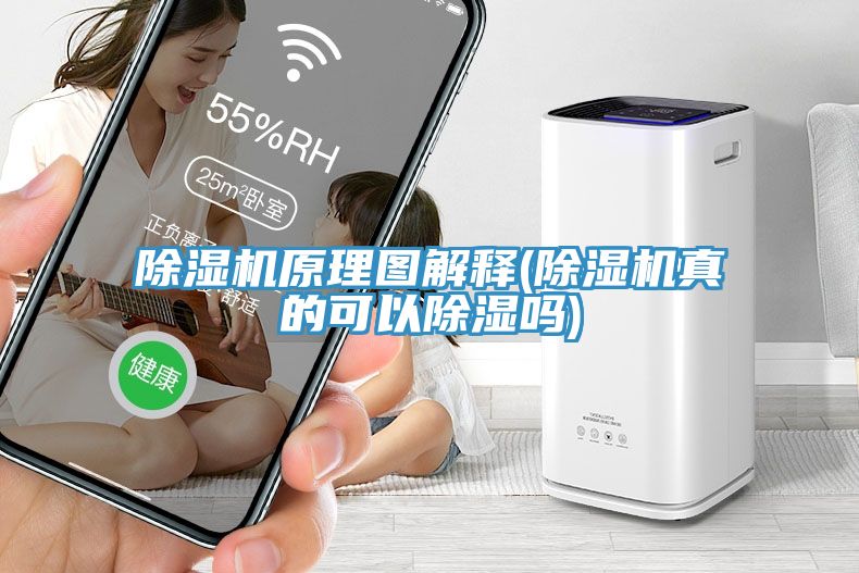 草莓污视频在线看原理圖解釋(草莓污视频在线看真的可以除濕嗎)