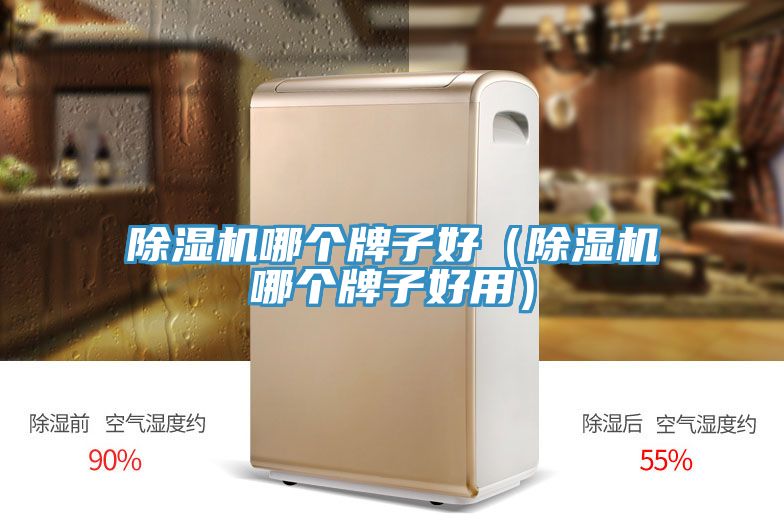 草莓污视频在线看哪個牌子好（草莓污视频在线看哪個牌子好用）