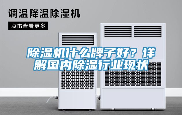 草莓污视频在线看什麽牌子好？詳解國內除濕行業現狀