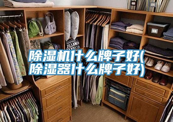 草莓污视频在线看什麽牌子好(除濕器什麽牌子好)