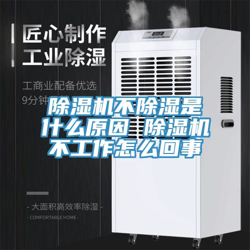 草莓污视频在线看不除濕是什麽原因 草莓污视频在线看不工作怎麽回事