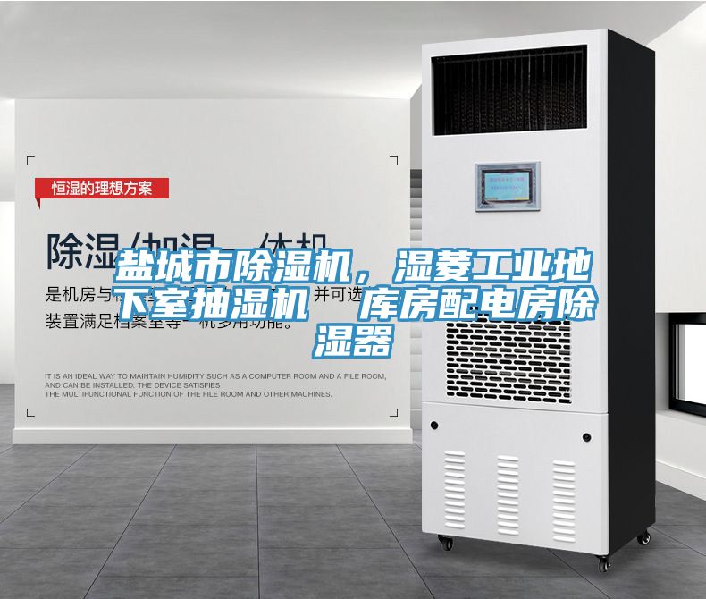 鹽城市草莓污视频在线看，濕菱工業地下室抽濕機  庫房配電房除濕器
