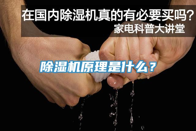 草莓污视频在线看原理是什麽？