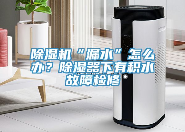 草莓污视频在线看“漏水”怎麽辦？除濕器下有積水故障檢修