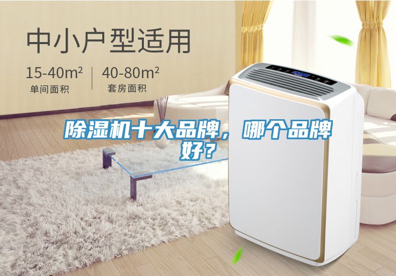 草莓污视频在线看十大品牌，哪個品牌好？