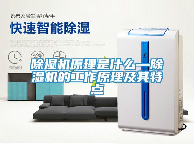 草莓污视频在线看原理是什麽—草莓污视频在线看的工作原理及其特點