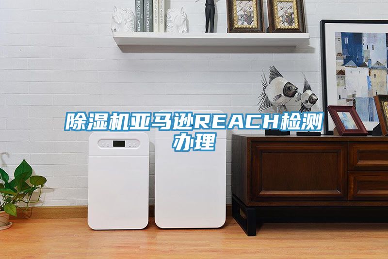 草莓污视频在线看亞馬遜REACH檢測辦理