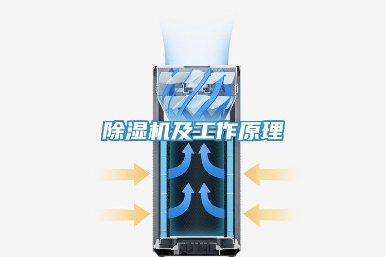 草莓污视频在线看及工作原理