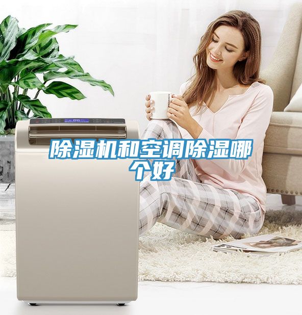 草莓污视频在线看和空調除濕哪個好
