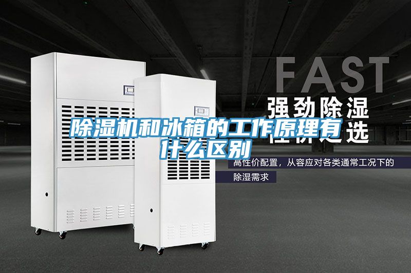 草莓污视频在线看和冰箱的工作原理有什麽區別