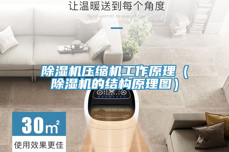 草莓污视频在线看壓縮機工作原理（草莓污视频在线看的結構原理圖）